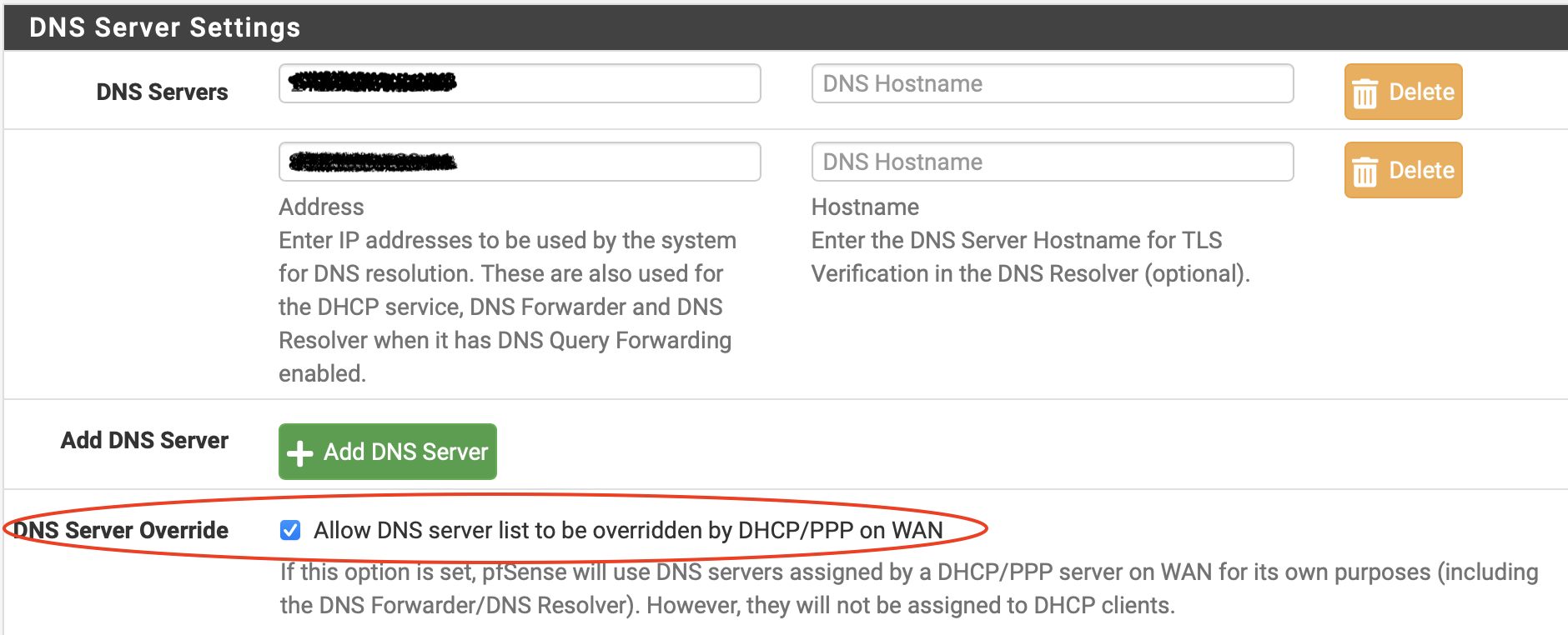 dns
