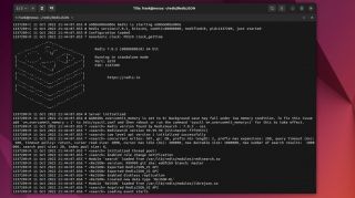 Ubuntu: RedisJSON Modul für Redis aus dem Source Code selbst bauen