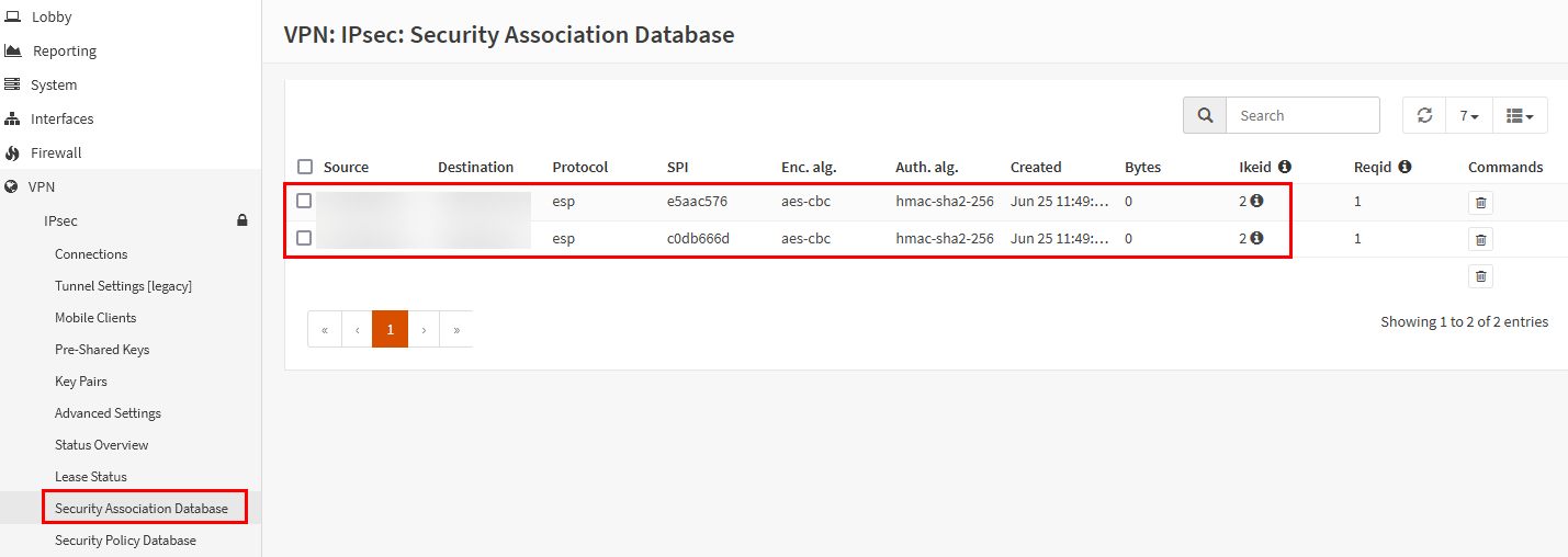 09_ipsec_sa_status