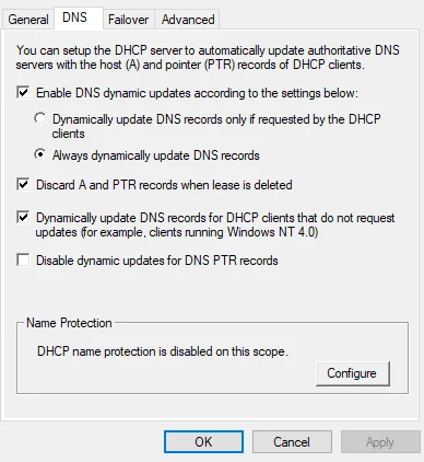 2024-11-11 17_21_01-dhcp
