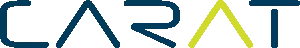 CARAT Ges. für Organisation und Softwareentwicklung