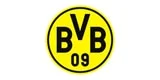 Borussia Dortmund GmbH & Co. KGaA