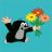 Flap222