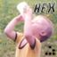 Mitglied: HeX87