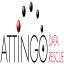 Mitglied: Attingo-Datenrettung