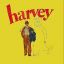 Harveyhase68
