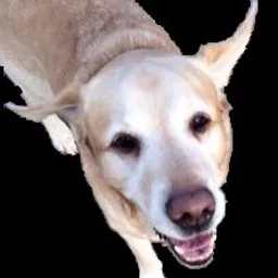 JukyDo